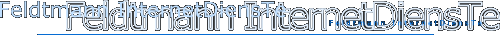 Feldtmann InternetDiensTe